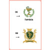 Jaleco Feminino Farmacia Personalizado - Voce Escolhe 06 ou 6B