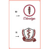 Jaleco Feminino Odontologia Brasão Personalizado - Voce Escolhe 11 ou 10
